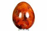 Vibrant Polished Carnelian Agate Egg - Madagascar #355497-1